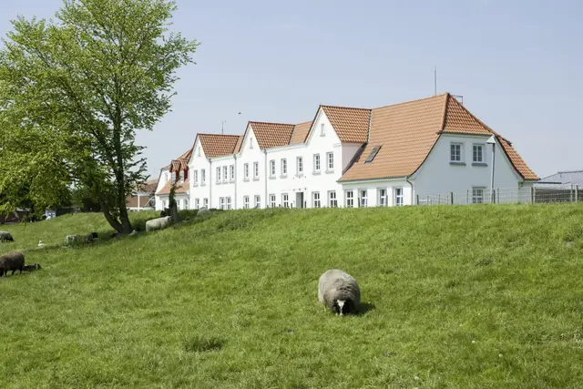 Energetische Ertüchtigung und Sanierung WSA Tönning, Bild 4